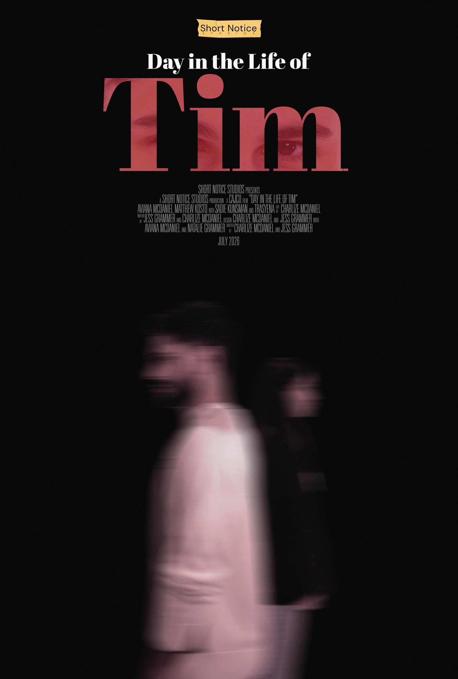 Day in Life of Tim Poster